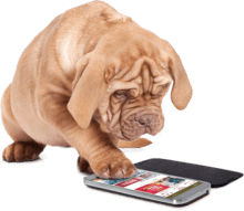 Stay up to date on monthly specials, coupons, flash sales, store events, &amp; more!