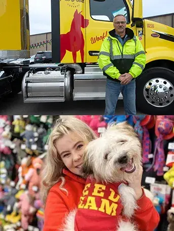 Careers with Hollywood Feed