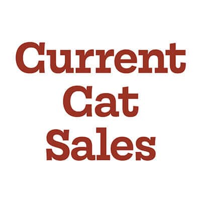 Current Cat Sales