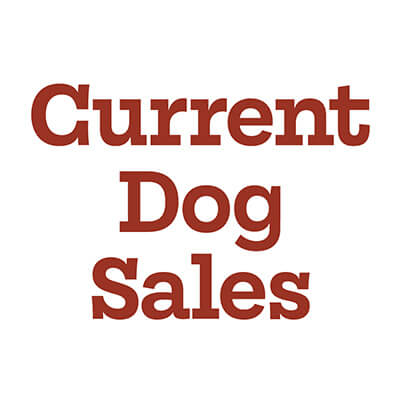 Current Dog Sales