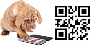 Scan to Join the Hollywood Feed Text Club!
